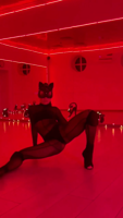 0_361911491_456239500-zDfzVeOr.mp4