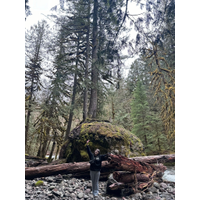 1536x2048_4891cc0b14e72aebb040d7dca59c9cfe-3tvegge6.jpg