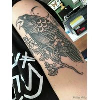 1536x2048_6d47e578fb07ddc4f43257a99c6b7319-b4eZYQmD.jpg