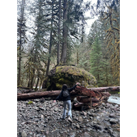1536x2048_da3bf5227445ac97771e40ccbe9bfed7-5vumL0wB.jpg