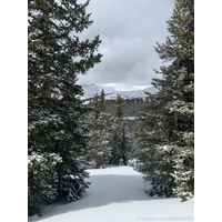 3024x4032_455c006a02c4dc07f4e3efa819735a26-E4FVnWCd.jpg