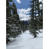 3024x4032_f06f9fe2033e5f1a3c6765f4120cedc1-Xn8TFIo7.jpg