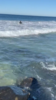 35ff4a86-9b8b-483b-ba62-76e8b984d444-iKvkymZK.mp4