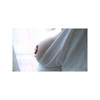 81001-ad470bea592f9afb2a7cafd7622c8830-swbosytN-9oU5komX.jpg