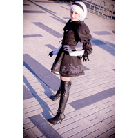 DSC_0031-GkdWQIRN.jpg