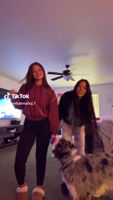 TikTok19-fK6lLIMl.mp4