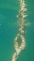 c6e405fb-e09e-468a-85c7-b85a1414d9a9-KGjZJffQ.mp4